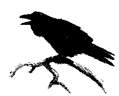 astrabegif.gif (2191 Byte)