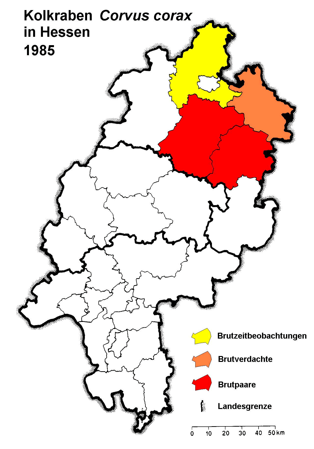 he1985_1.gif (204164 bytes)