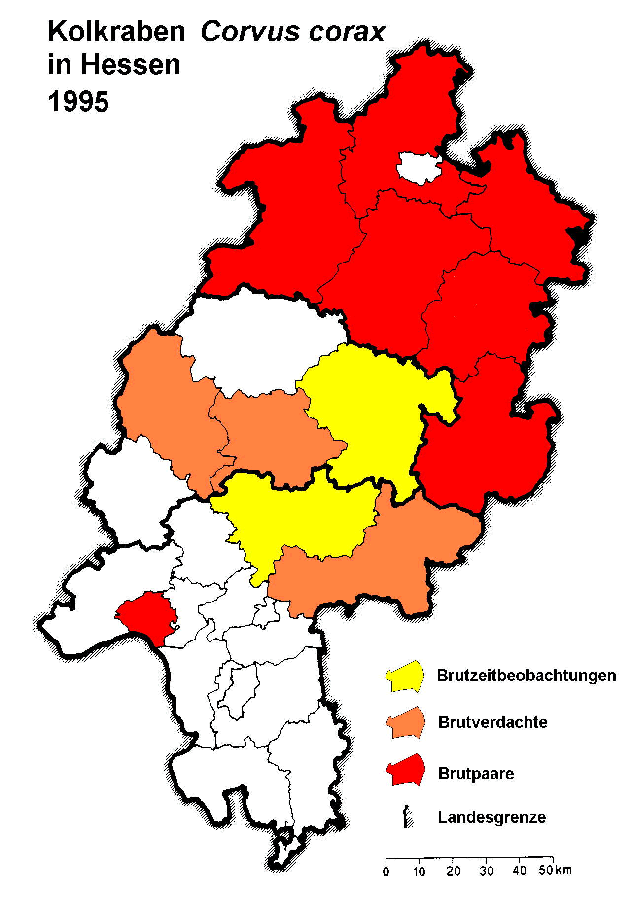 he1995_1.gif (270659 bytes)